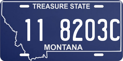 MT license plate 118203C