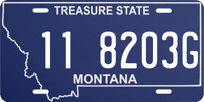 MT license plate 118203G
