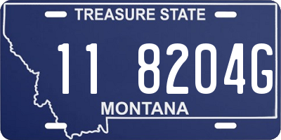 MT license plate 118204G
