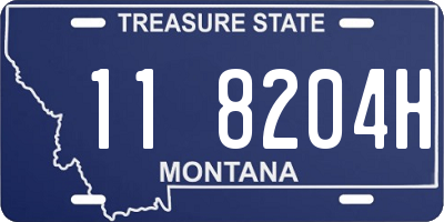 MT license plate 118204H