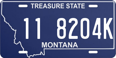 MT license plate 118204K
