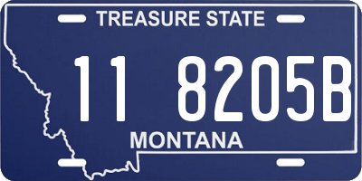 MT license plate 118205B