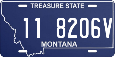 MT license plate 118206V