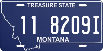 MT license plate 118209I