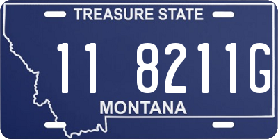 MT license plate 118211G