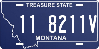 MT license plate 118211V