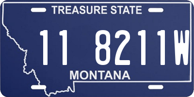 MT license plate 118211W