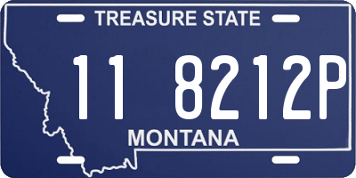 MT license plate 118212P