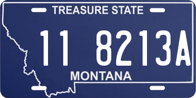 MT license plate 118213A