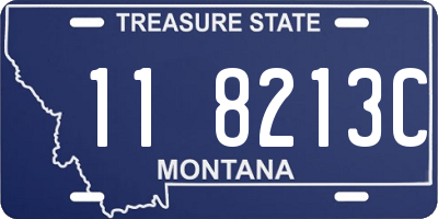 MT license plate 118213C