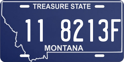 MT license plate 118213F