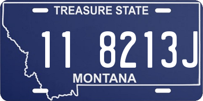 MT license plate 118213J