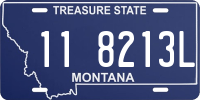 MT license plate 118213L