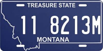 MT license plate 118213M