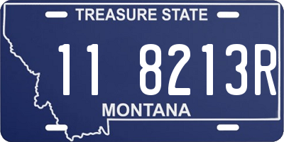 MT license plate 118213R