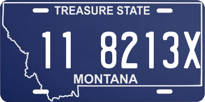 MT license plate 118213X
