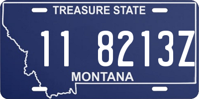 MT license plate 118213Z