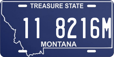 MT license plate 118216M