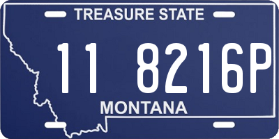 MT license plate 118216P