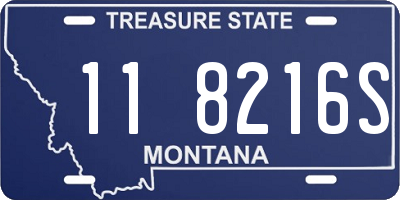 MT license plate 118216S