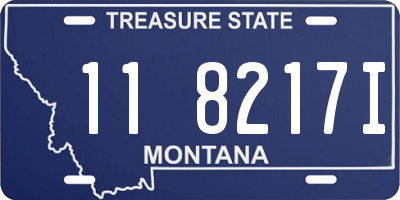 MT license plate 118217I