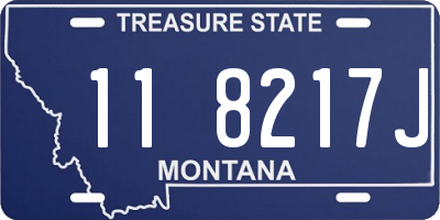 MT license plate 118217J