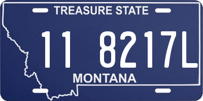 MT license plate 118217L