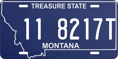 MT license plate 118217T