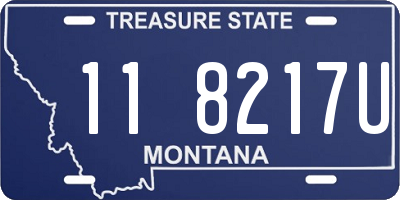 MT license plate 118217U