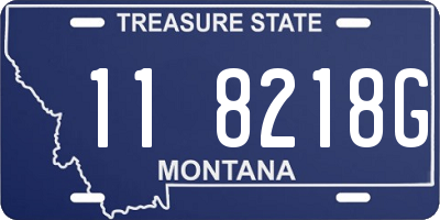 MT license plate 118218G