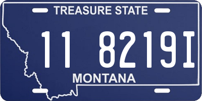 MT license plate 118219I