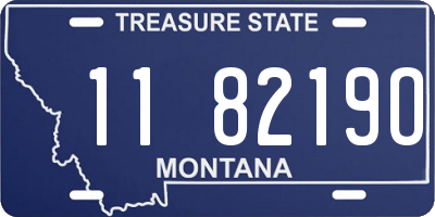 MT license plate 118219O