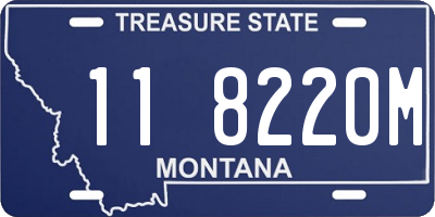 MT license plate 118220M