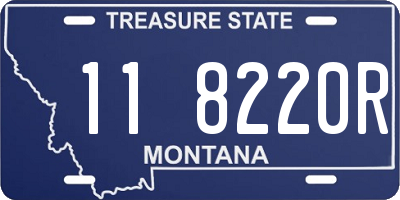 MT license plate 118220R