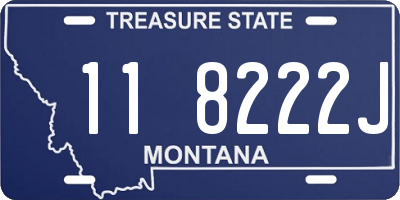 MT license plate 118222J