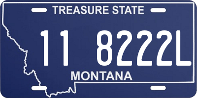 MT license plate 118222L