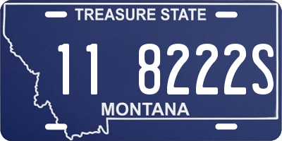 MT license plate 118222S