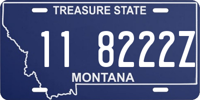 MT license plate 118222Z