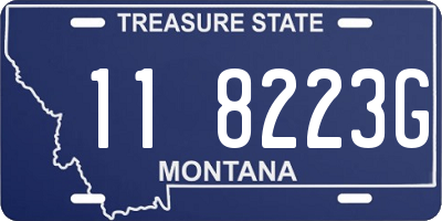 MT license plate 118223G