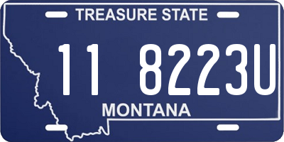 MT license plate 118223U