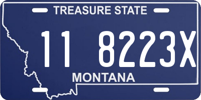 MT license plate 118223X