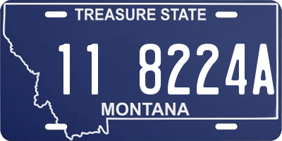 MT license plate 118224A