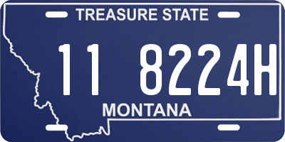 MT license plate 118224H