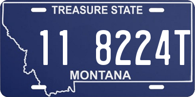 MT license plate 118224T