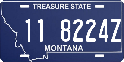 MT license plate 118224Z