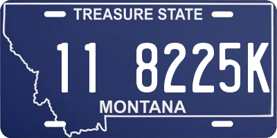 MT license plate 118225K