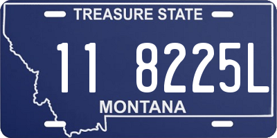 MT license plate 118225L