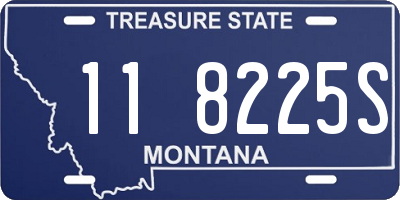 MT license plate 118225S