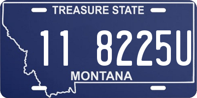 MT license plate 118225U