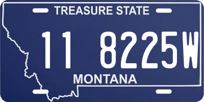 MT license plate 118225W